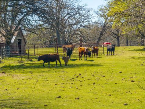 10610 County Road 3605 Quinlan TX 75474