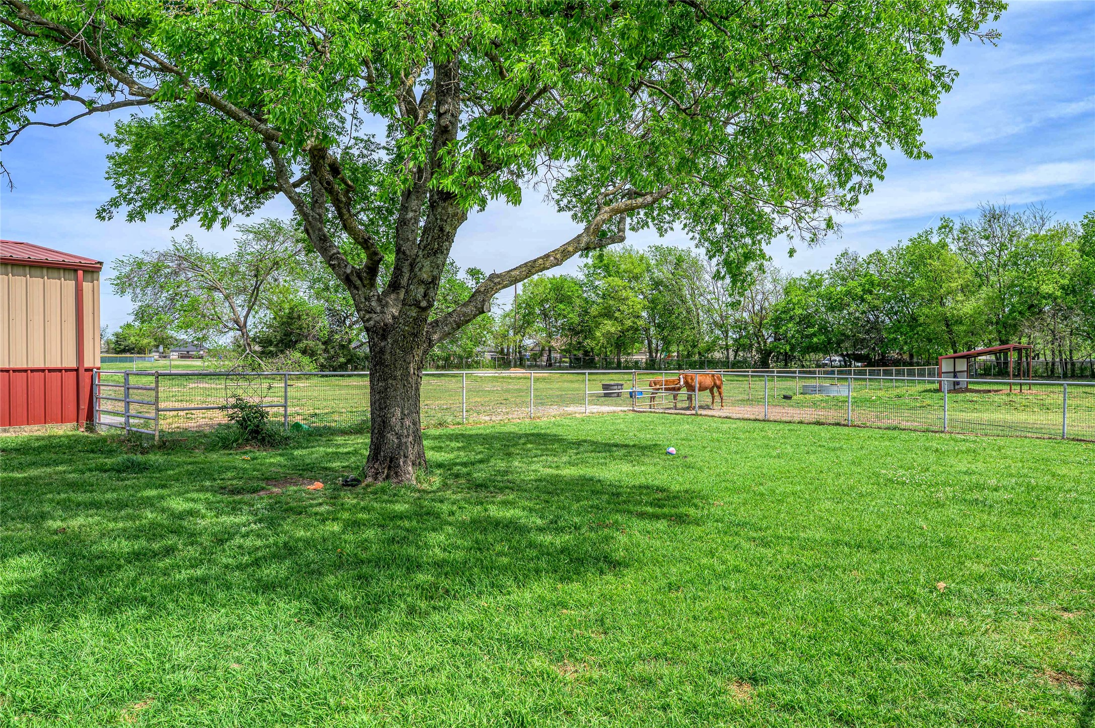 501 N Van Zandt Street Tioga TX 76271