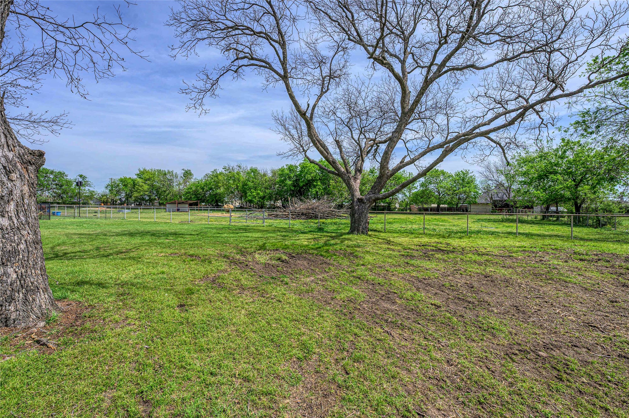 501 N Van Zandt Street Tioga TX 76271