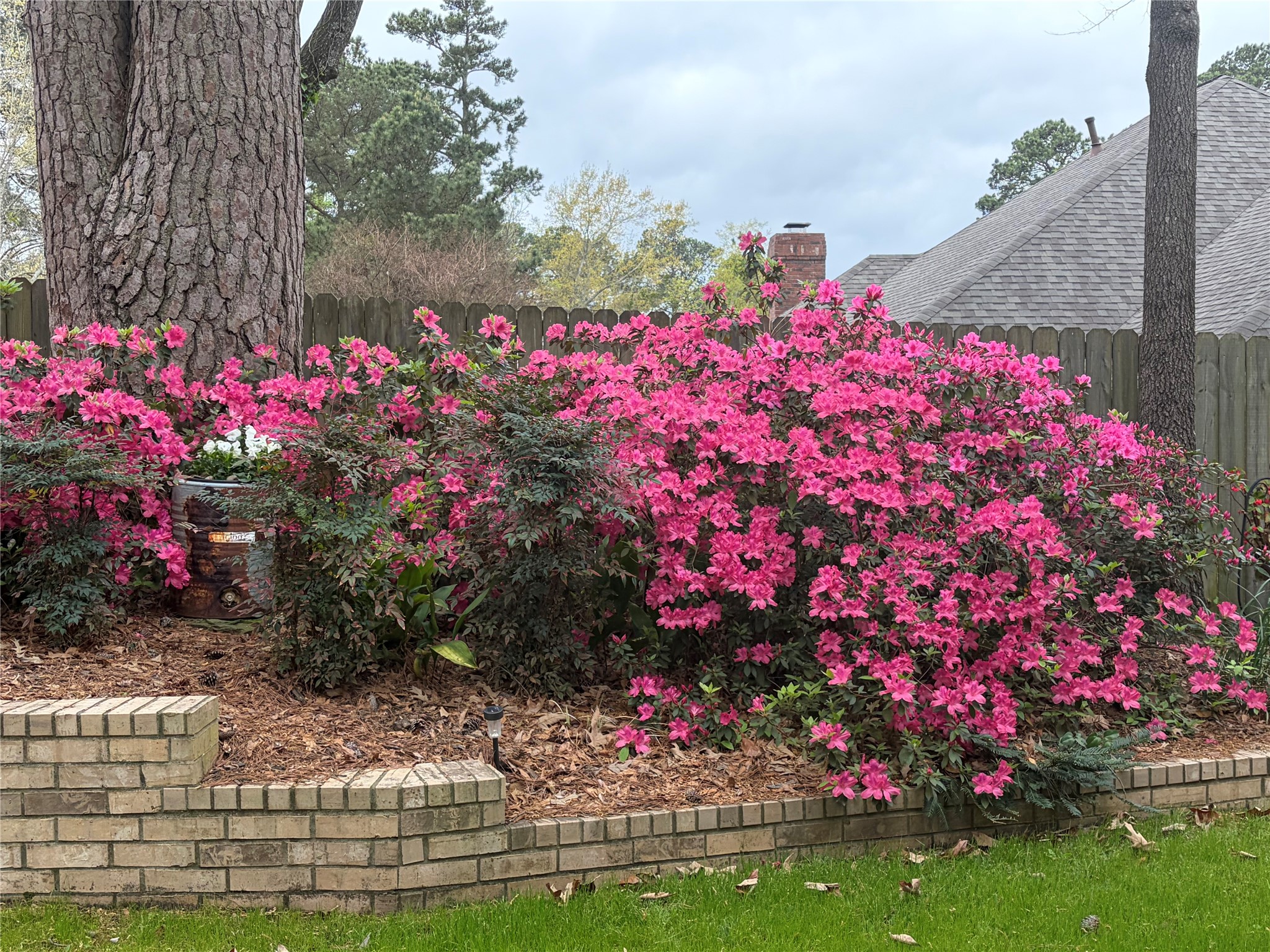 1137 Ashwood Drive Tyler TX 75703