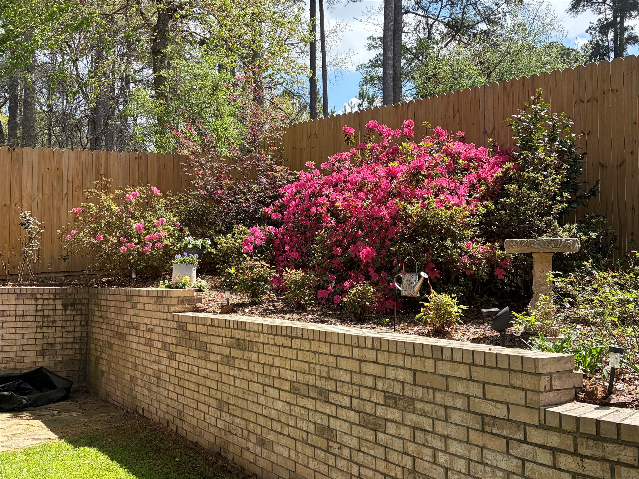 1137 Ashwood Drive Tyler TX 75703