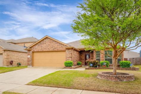 1120 Lake Hollow Drive Little Elm TX 75068