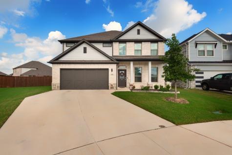 317 Ember Circle Waxahachie TX 75165