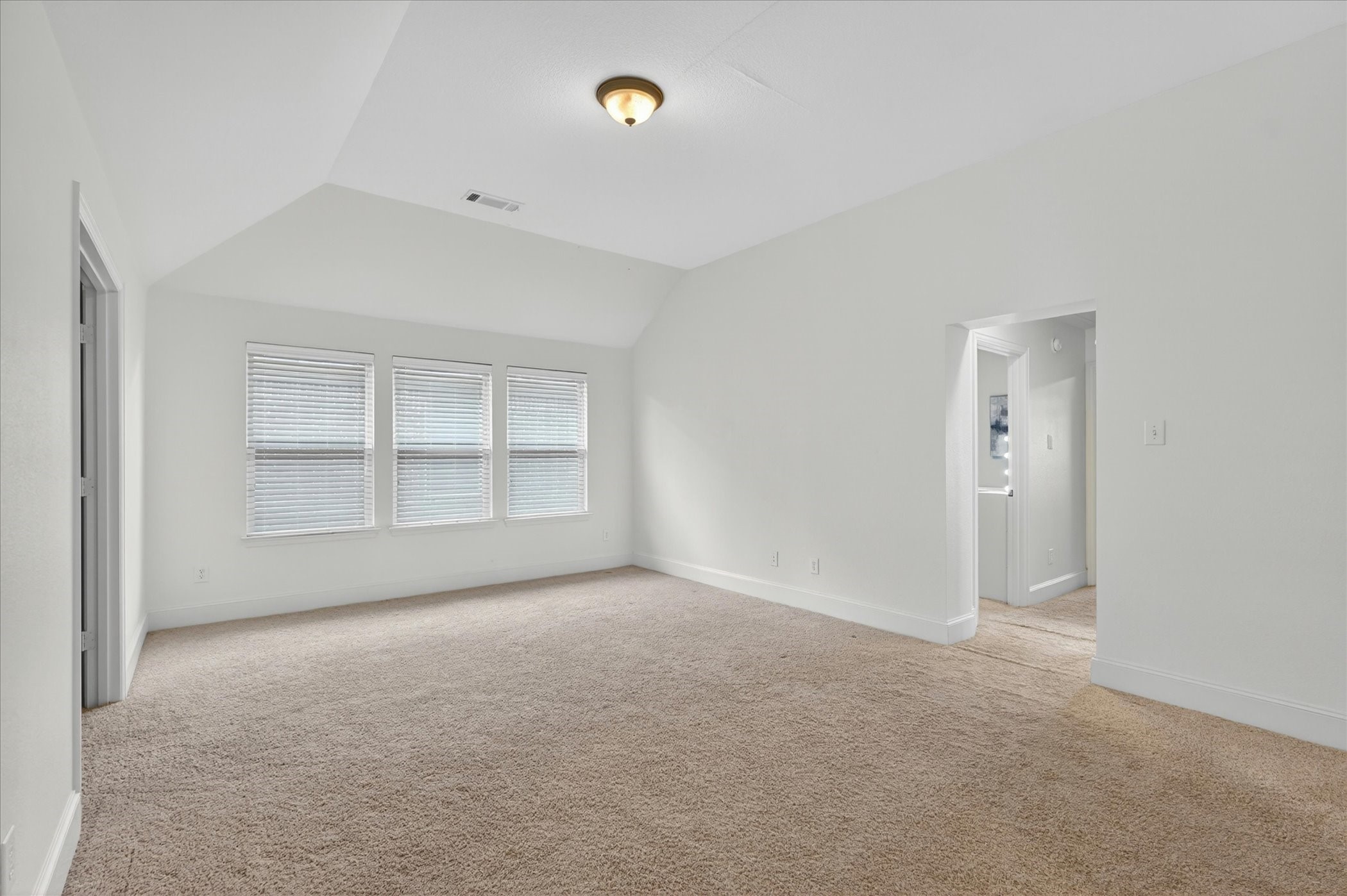 8513 Bayberry Avenue Lantana TX 76226
