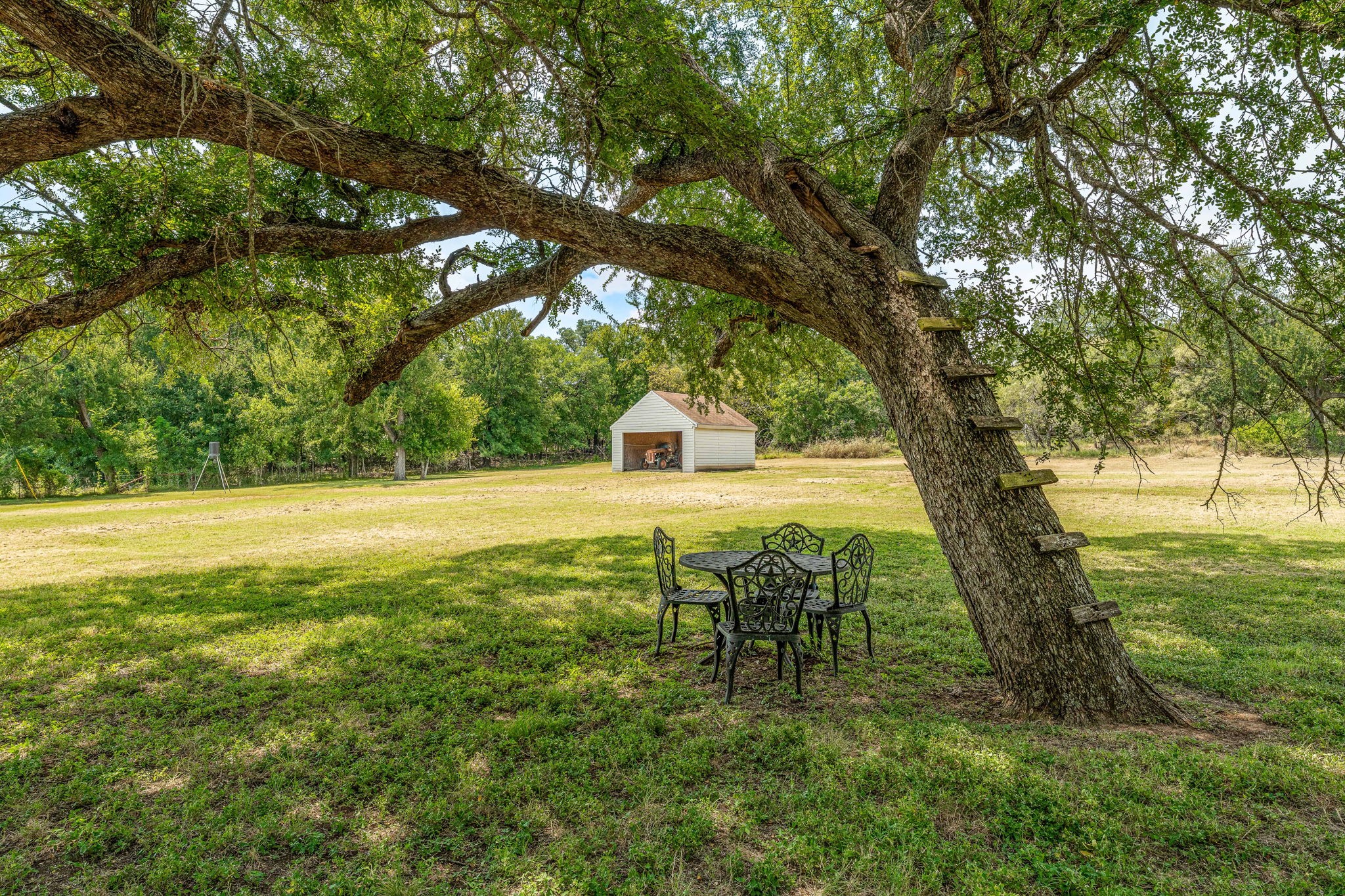 15061 Highway 6 Iredell TX 76649