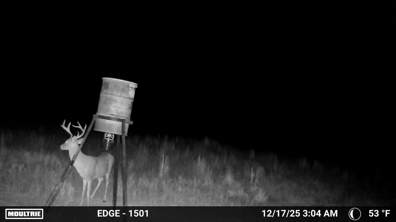 7215 Highway 569 Cisco TX 76437