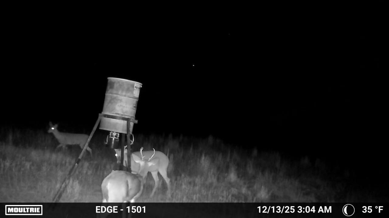 7215 Highway 569 Cisco TX 76437