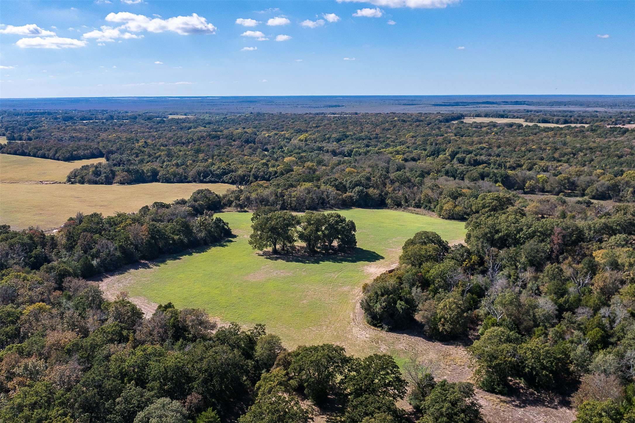18971 N Us Highway 287 Tennessee Colony TX 75861