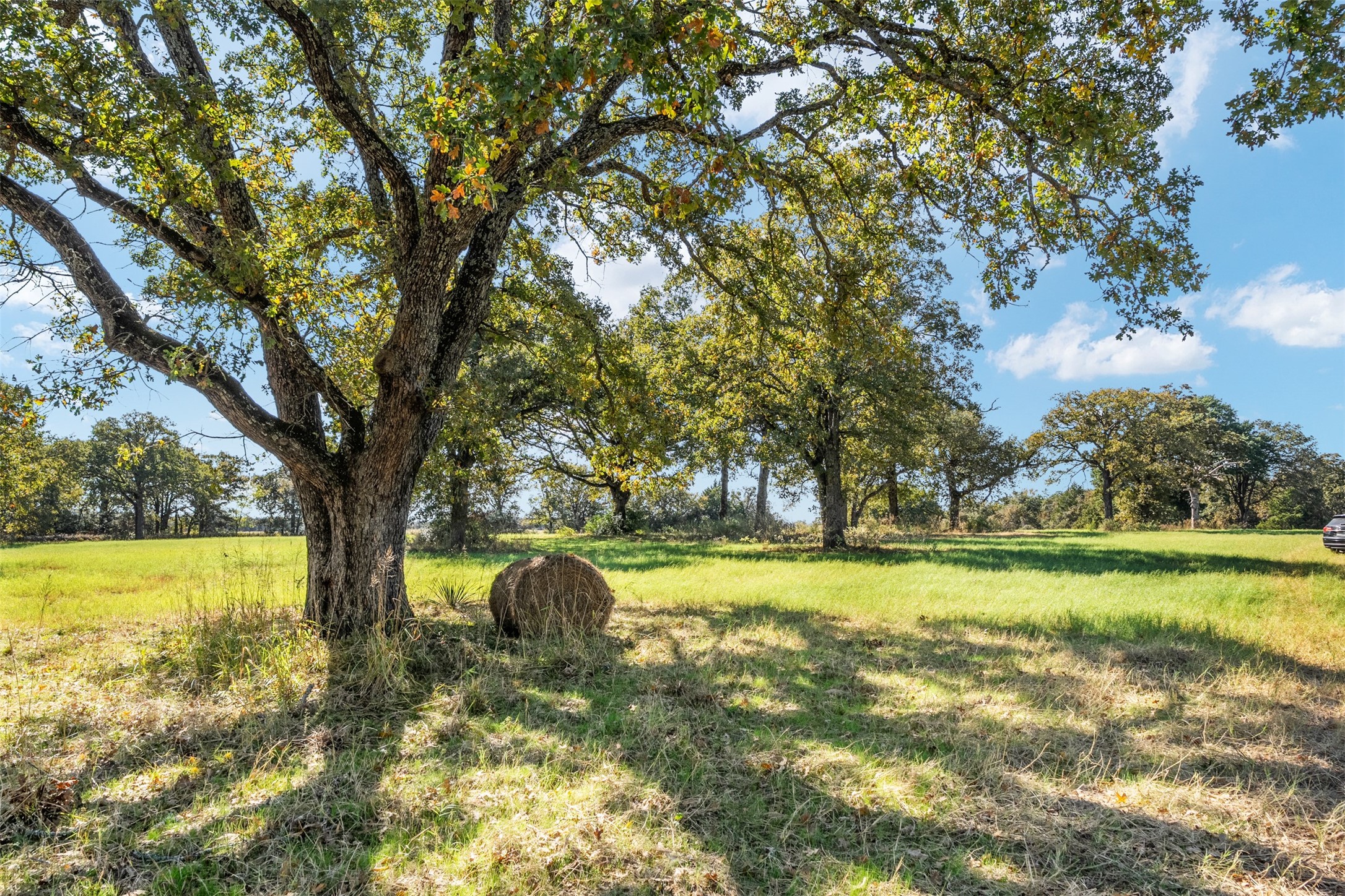18971 N Us Highway 287 Tennessee Colony TX 75861