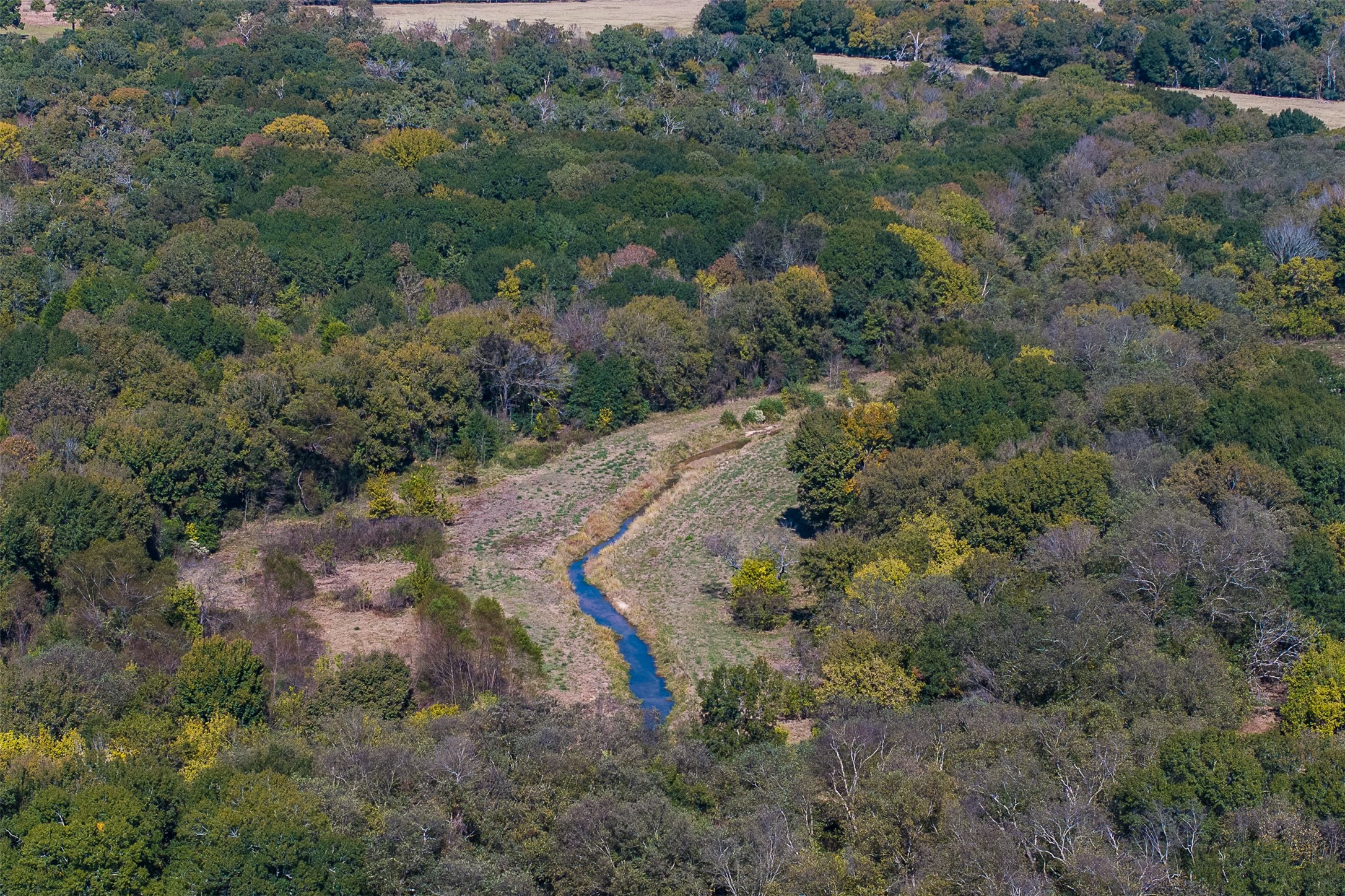 18971 N Us Highway 287 Tennessee Colony TX 75861