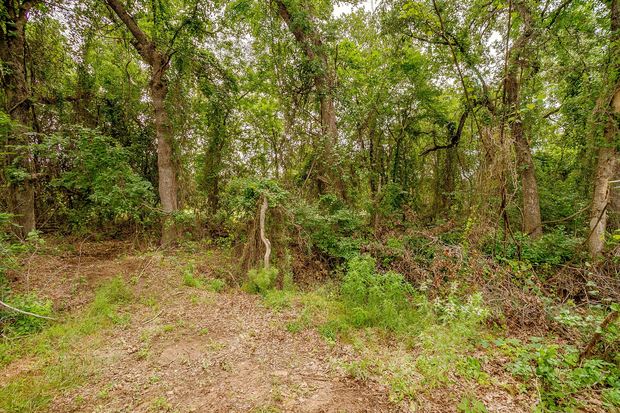 350 Red Top Road Poolville TX 76487