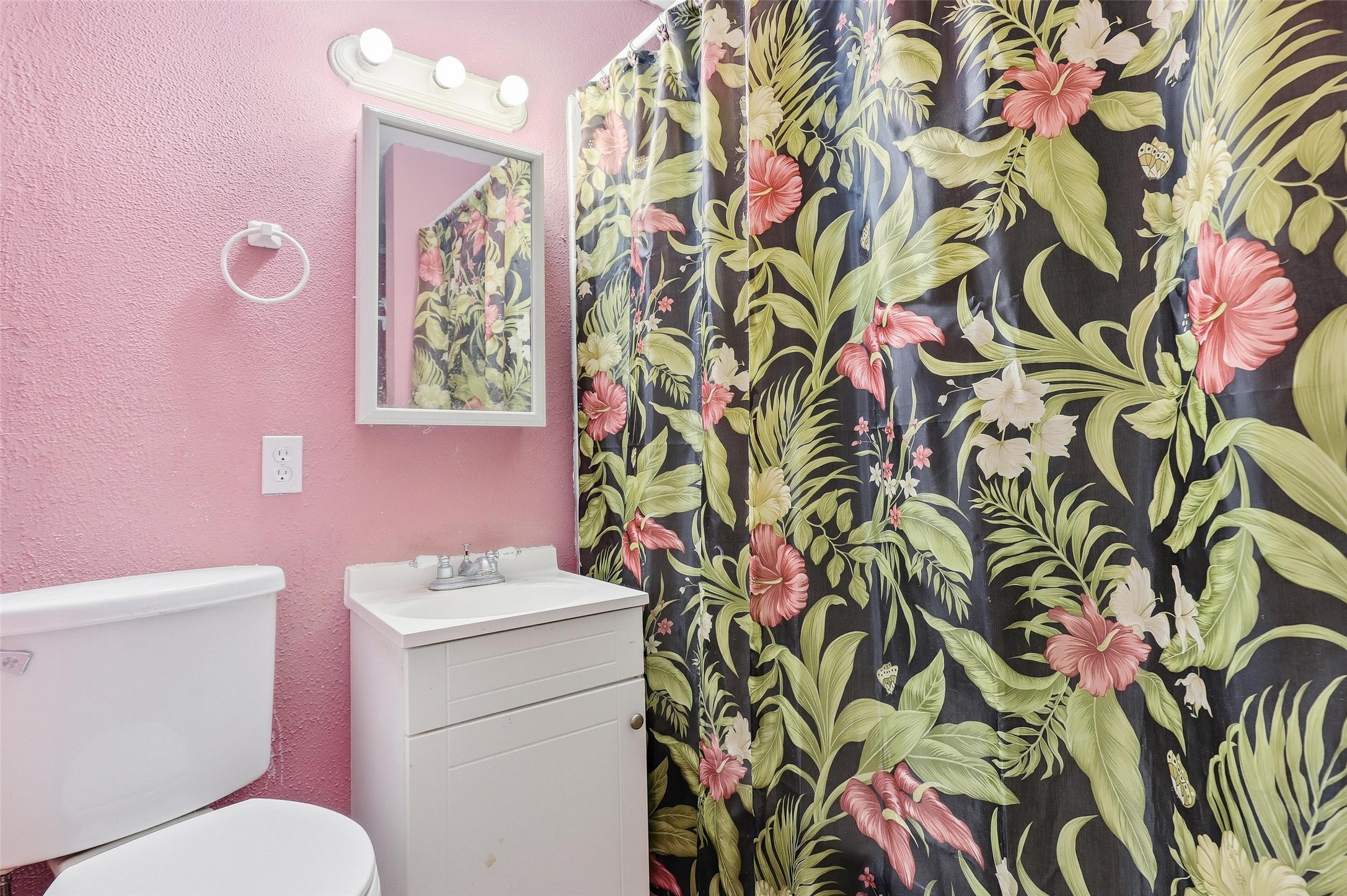 3822 Ragged Rock Court Joshua TX 76058