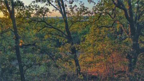 373 Nocona Drive Nocona TX 76255