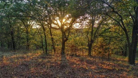 373 Nocona Drive Nocona TX 76255