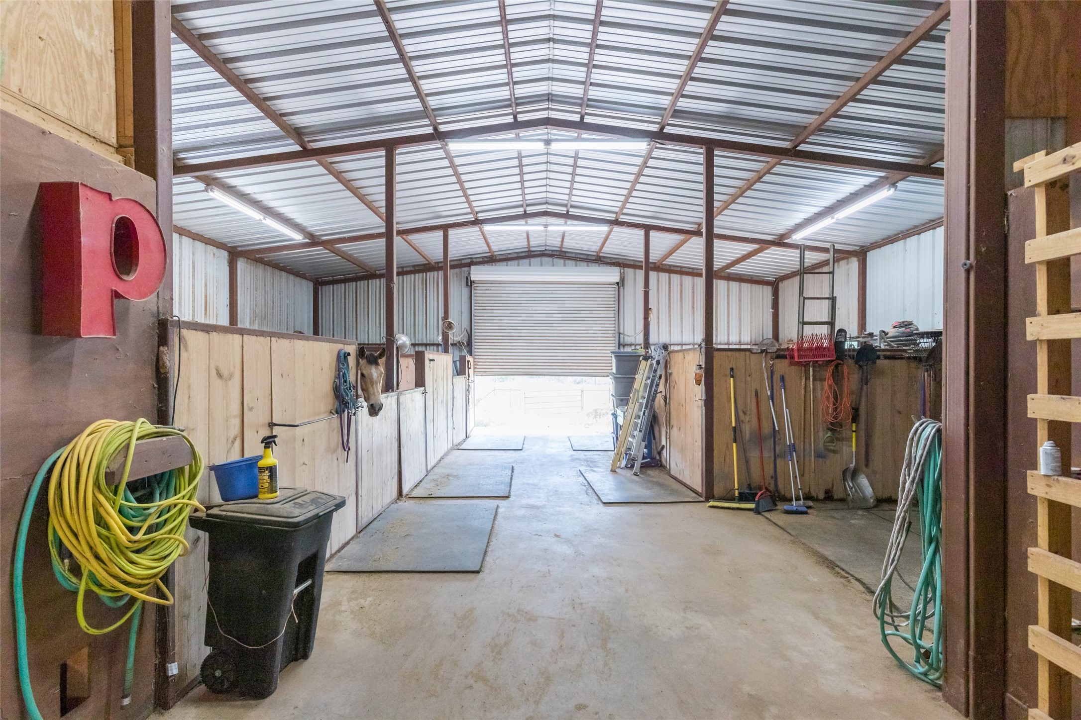 5280 Peppergrass Lane Abilene TX 79606