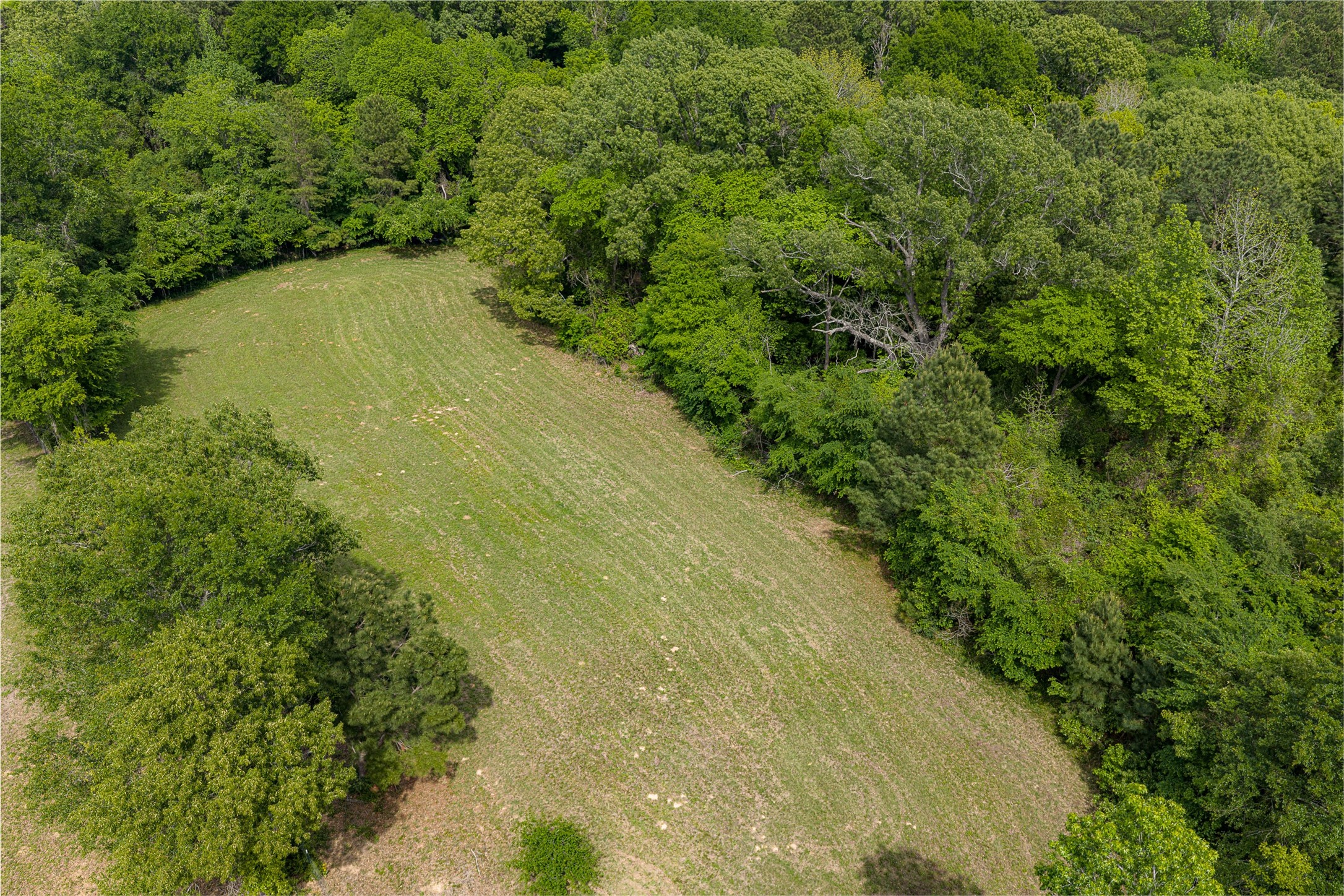 2029 W State Highway 294 Elkhart TX 75839