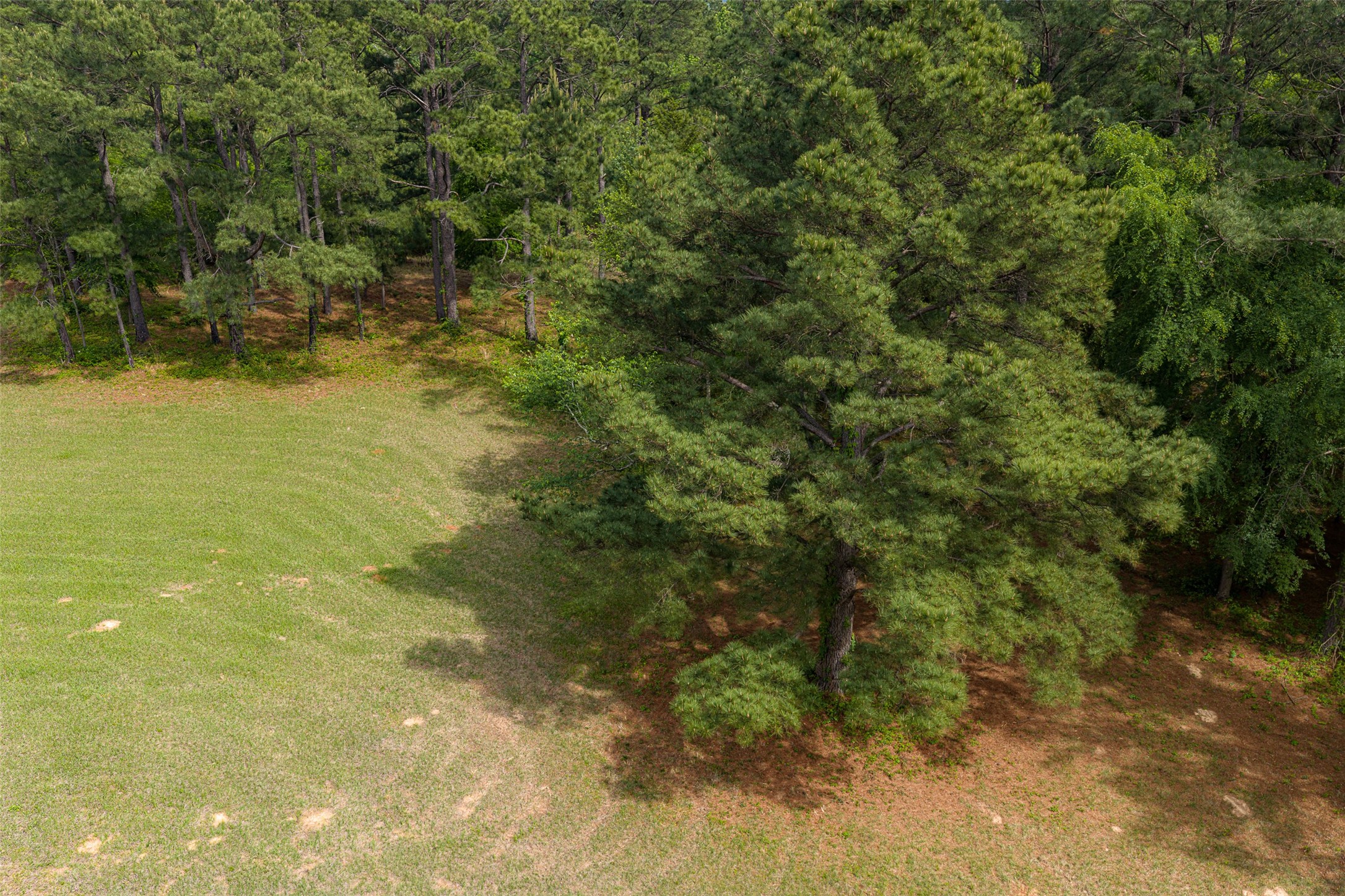 2029 W State Highway 294 Elkhart TX 75839