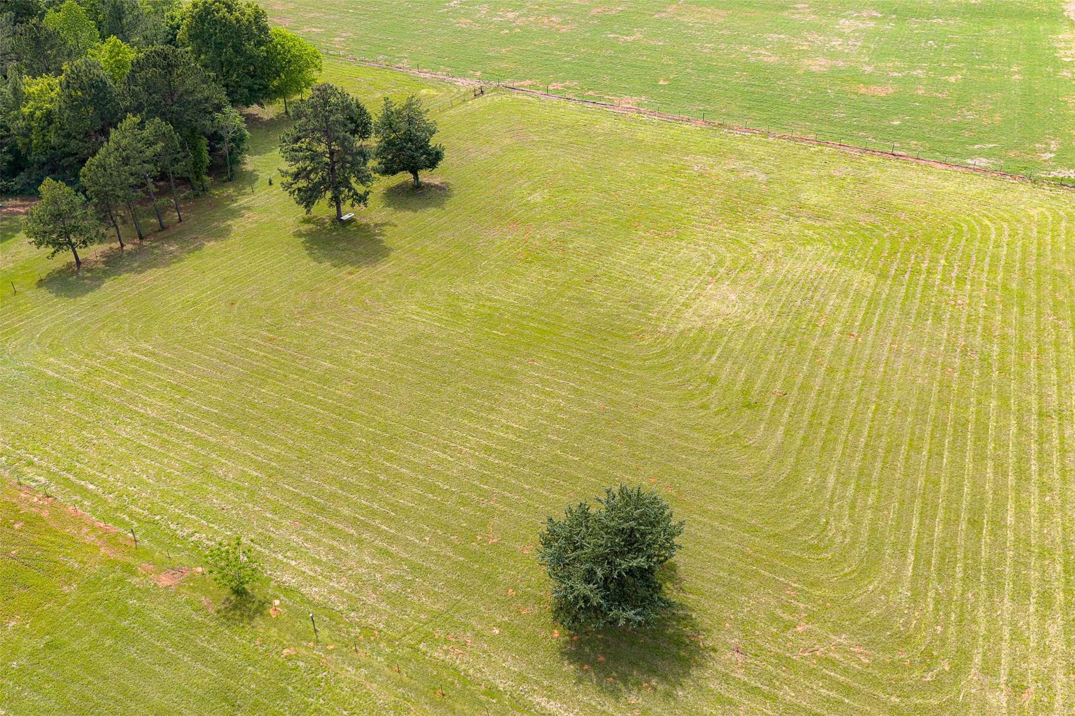 2029 W State Highway 294 Elkhart TX 75839