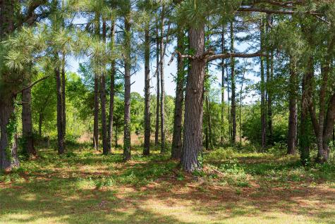 2029 W State Highway 294 Elkhart TX 75839