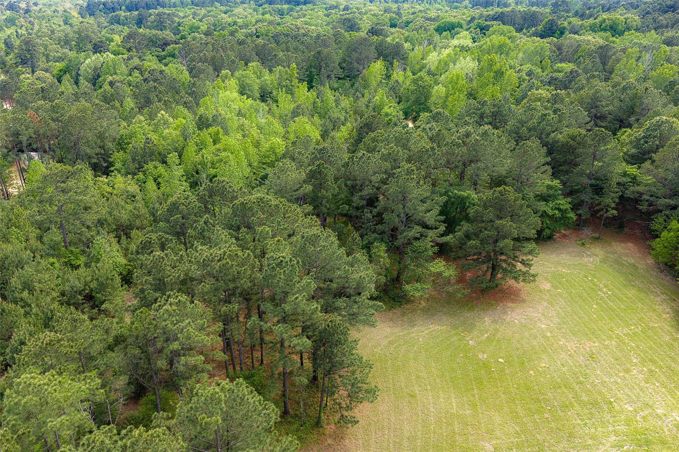 2029 W State Highway 294 Elkhart TX 75839
