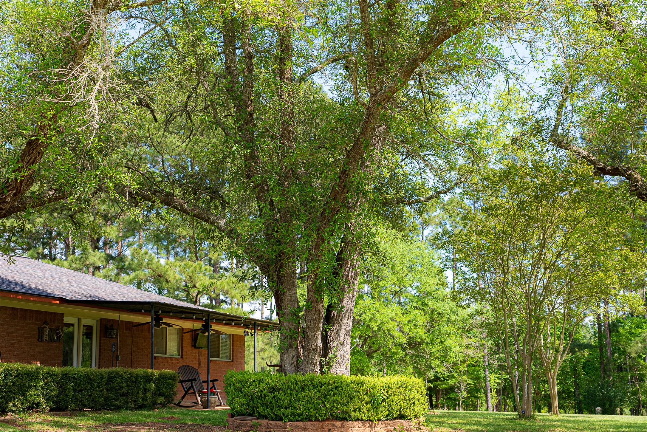2029 W State Highway 294 Elkhart TX 75839