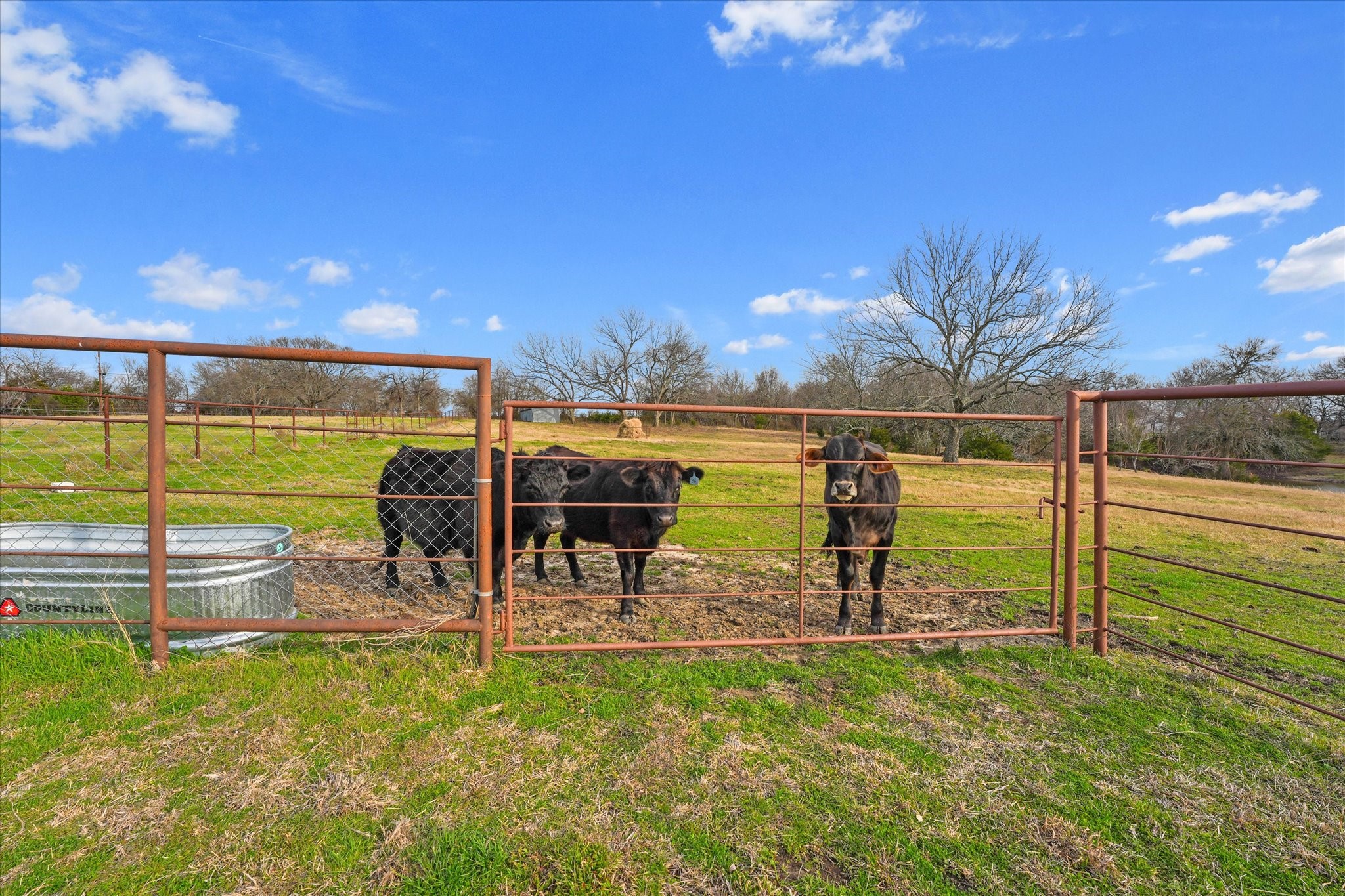 4633 Fm 36 N Celeste TX 75423