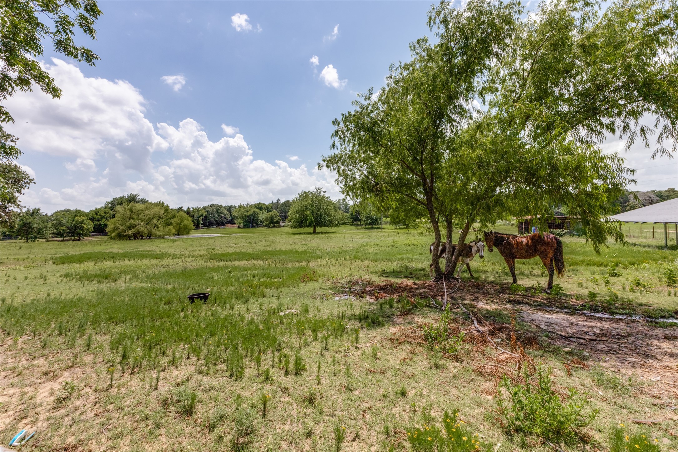 1448 Cr 123 Gainesville TX 76240