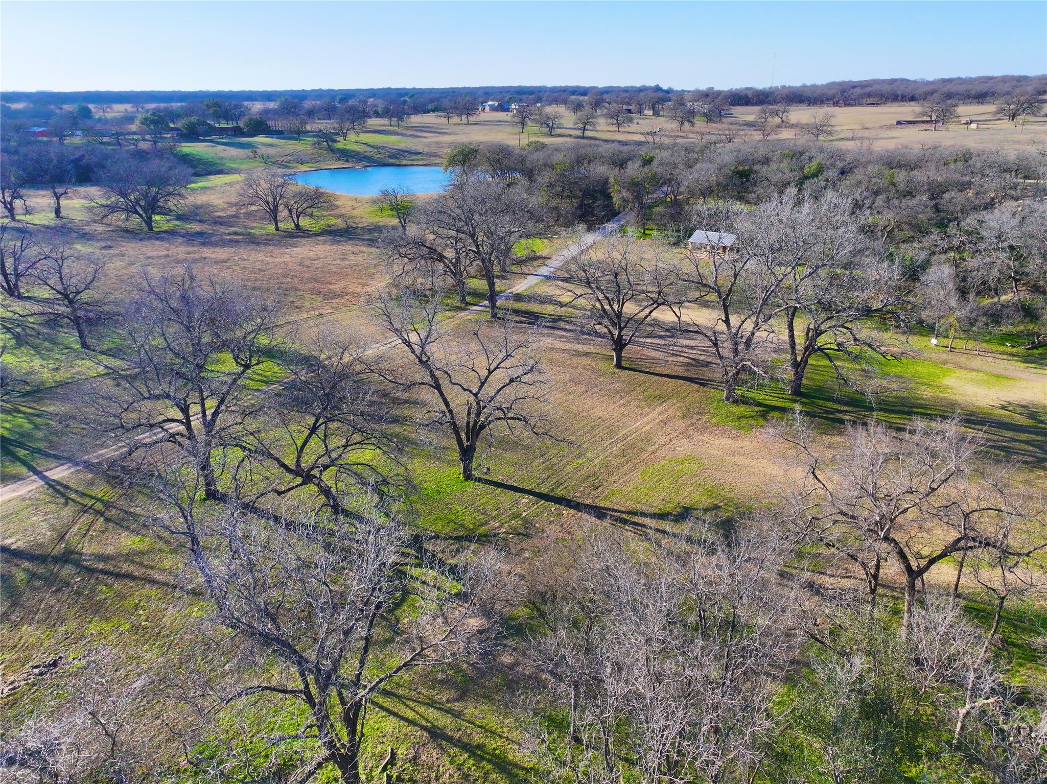 229 W Bluff Lane Millsap TX 76066