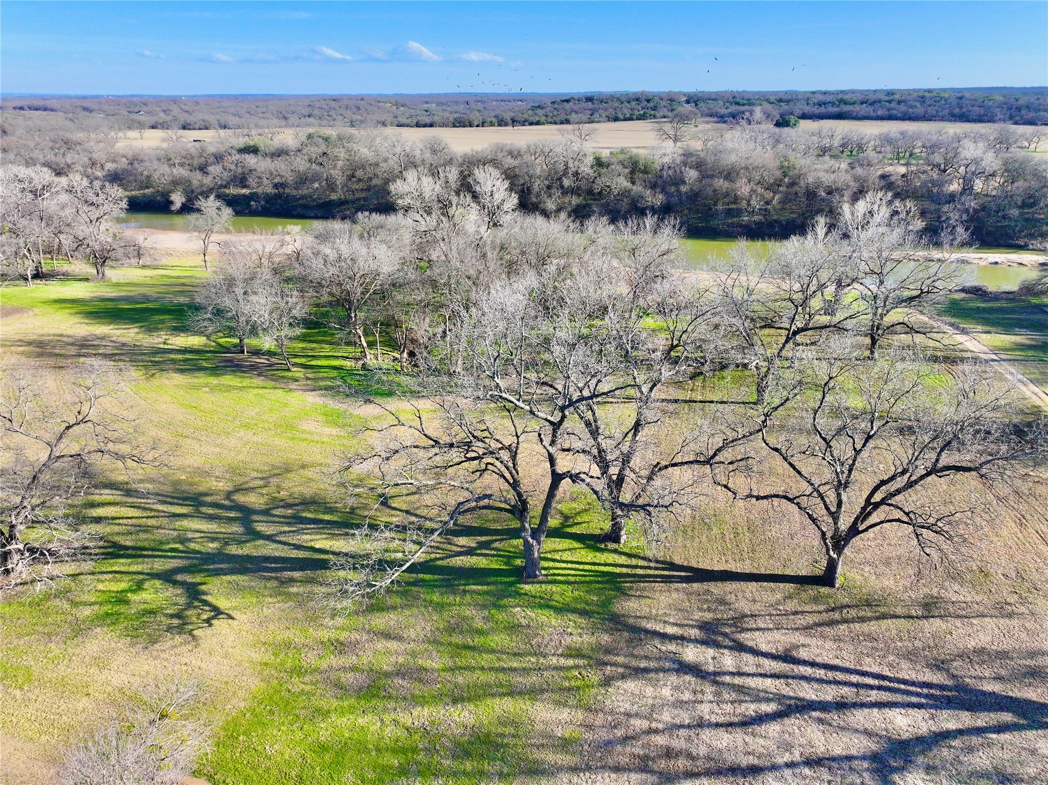 229 W Bluff Lane Millsap TX 76066