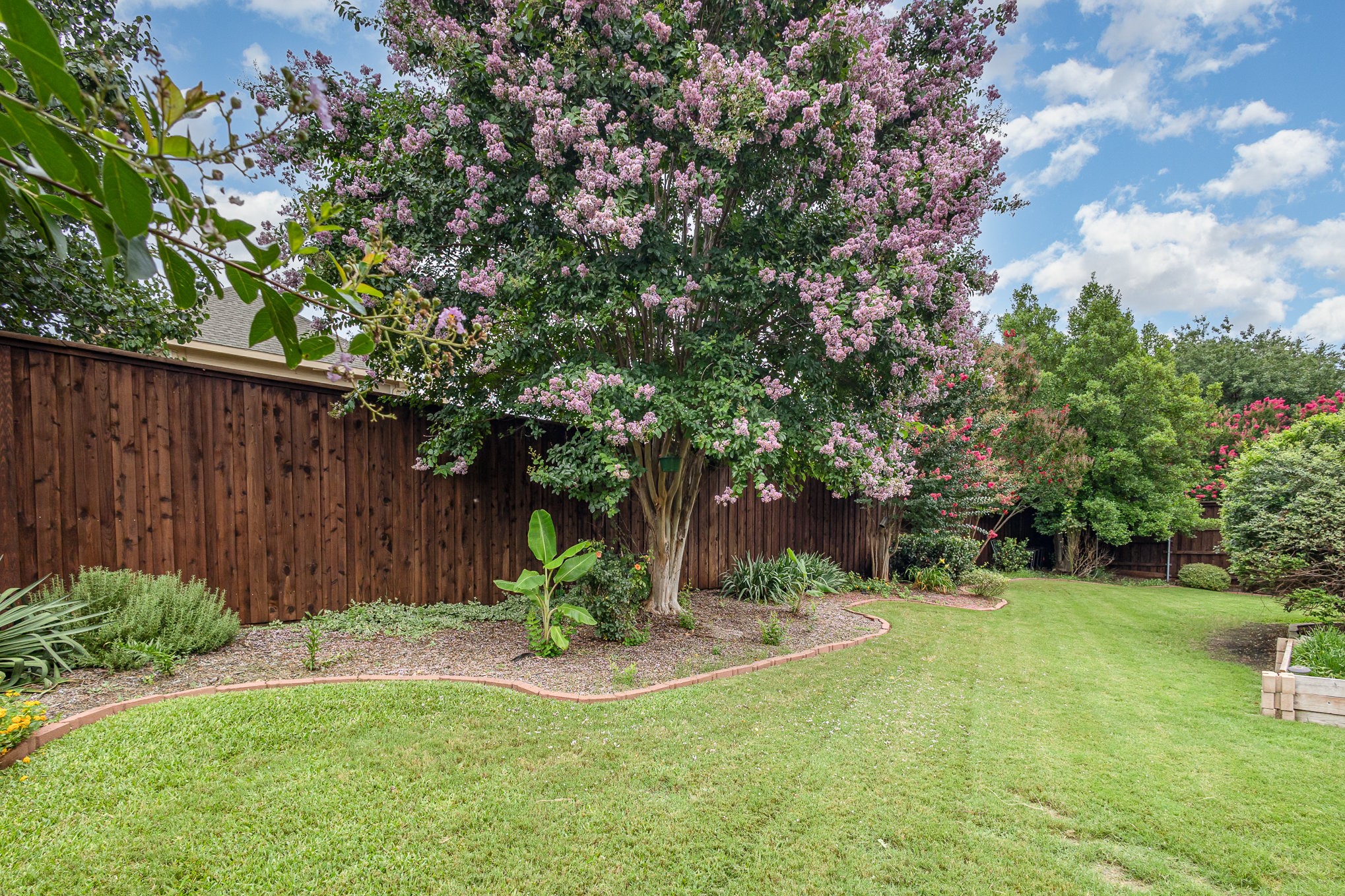 341 Greenfield Drive Murphy TX 75094