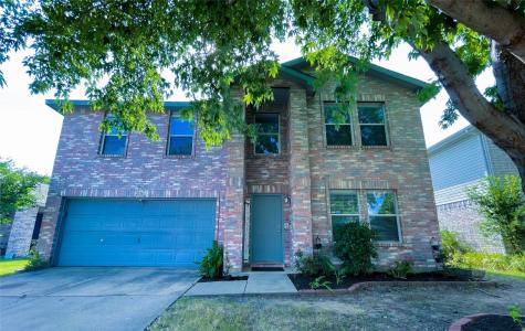 2516 Pecan Drive Little Elm TX 75068