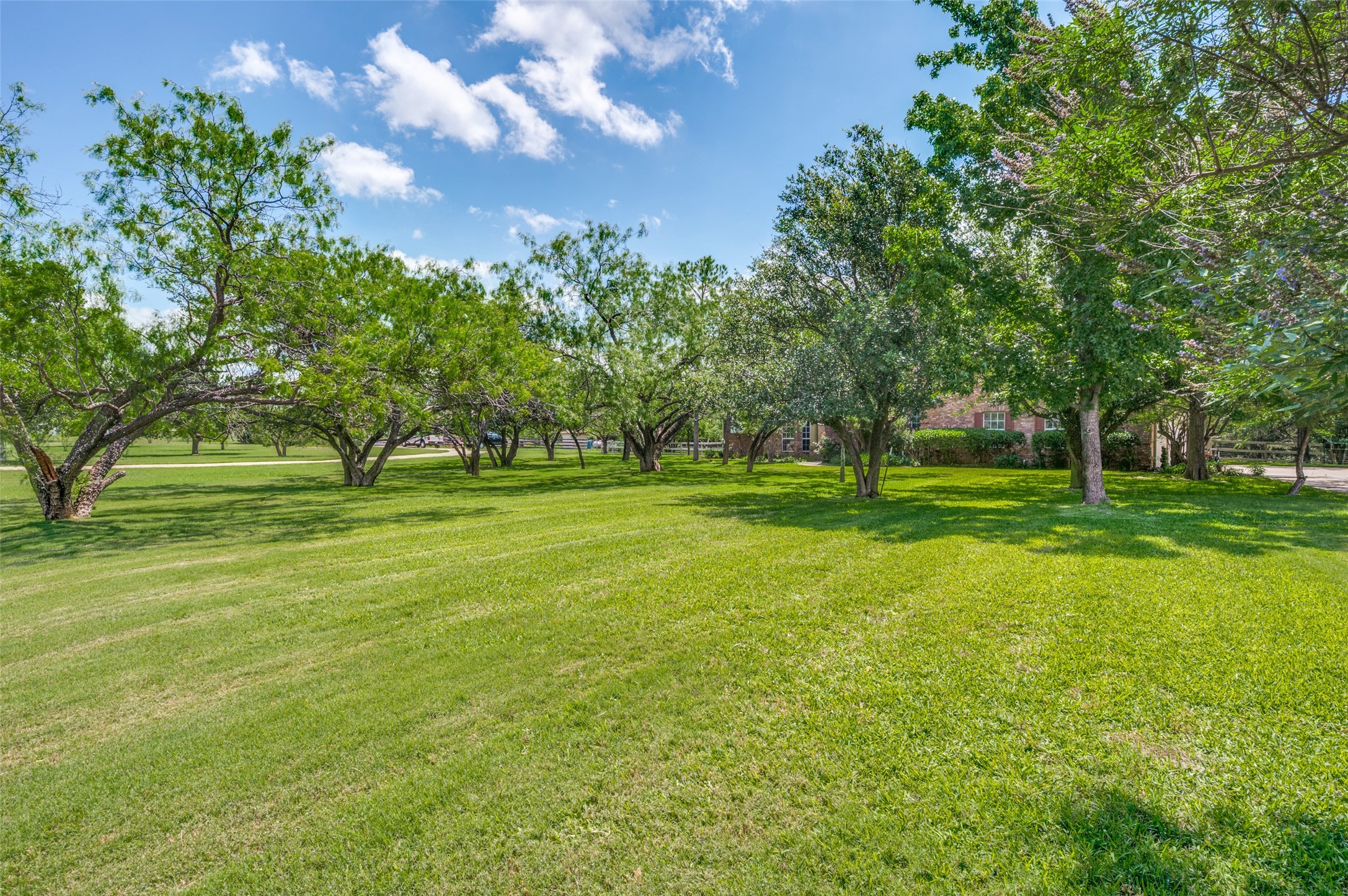 341 Onyx Drive Oak Point TX 75068