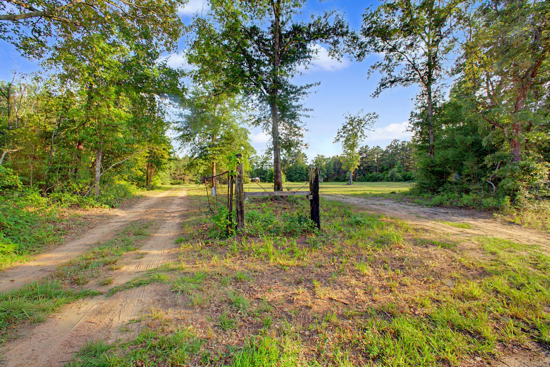 2874 An County Road Palestine TX 75763