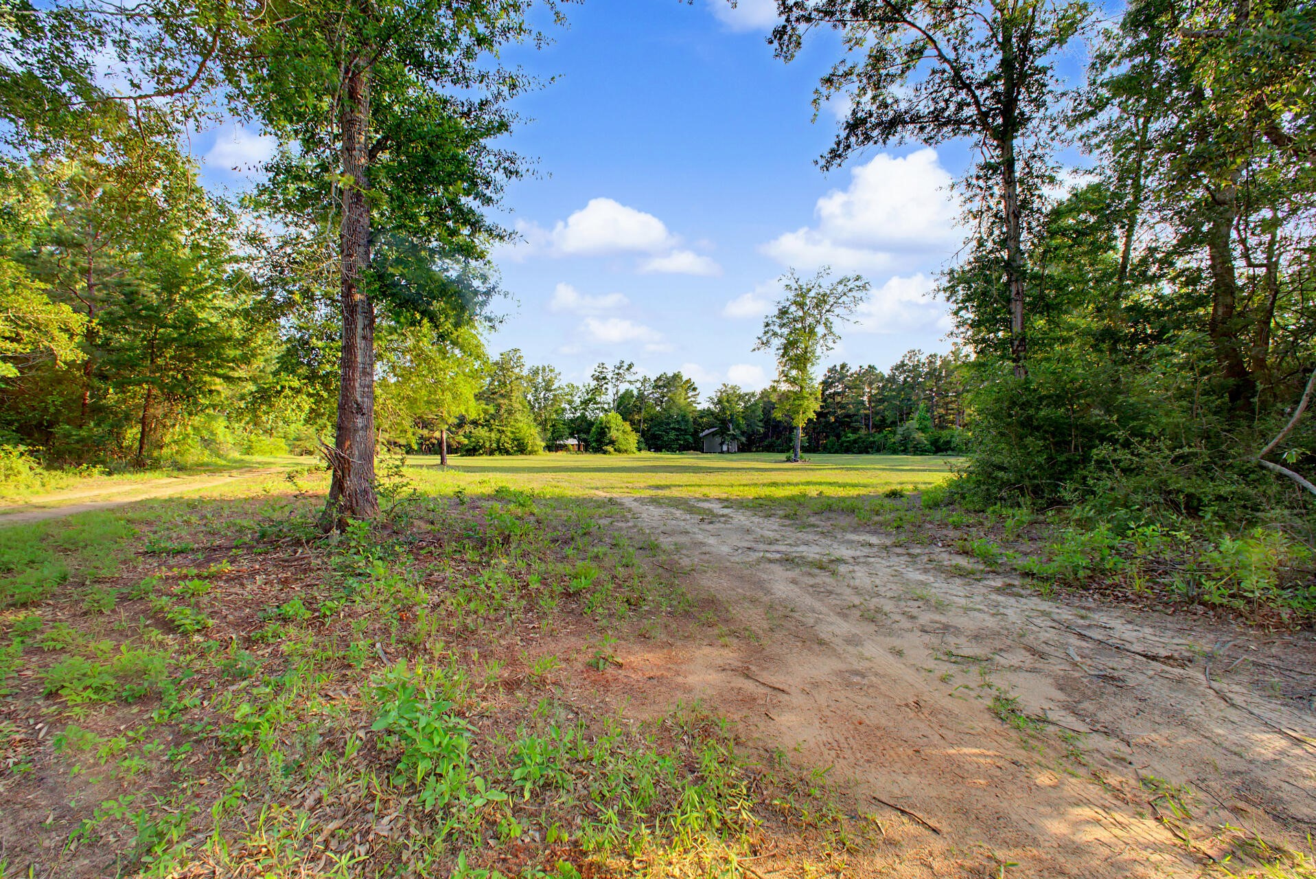 2874 An County Road Palestine TX 75803
