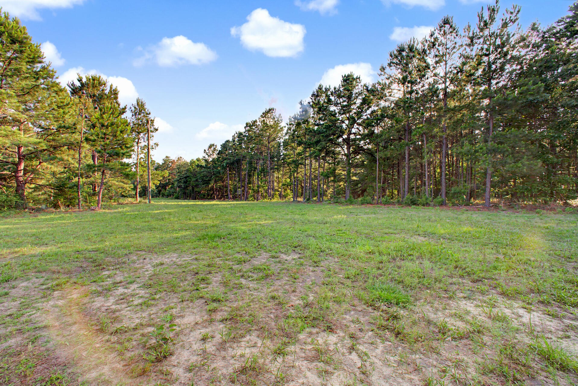2874 An County Road Palestine TX 75763
