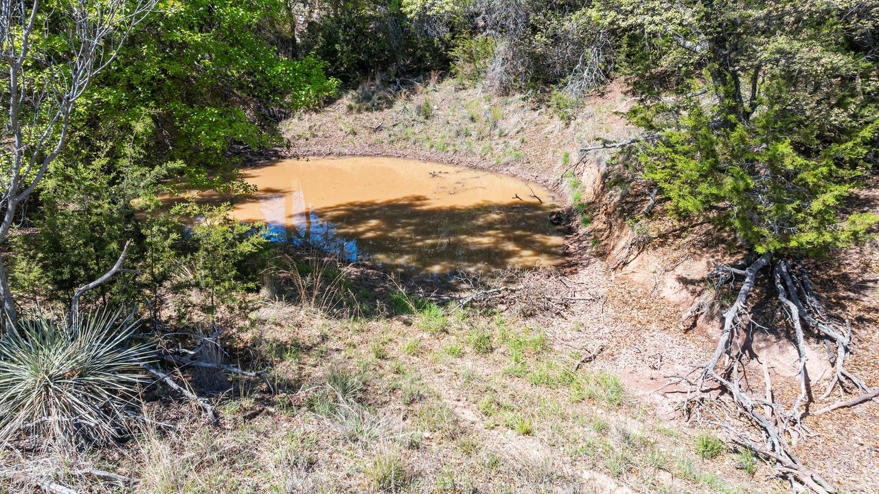 425 County Road 272 Tuscola TX 79562