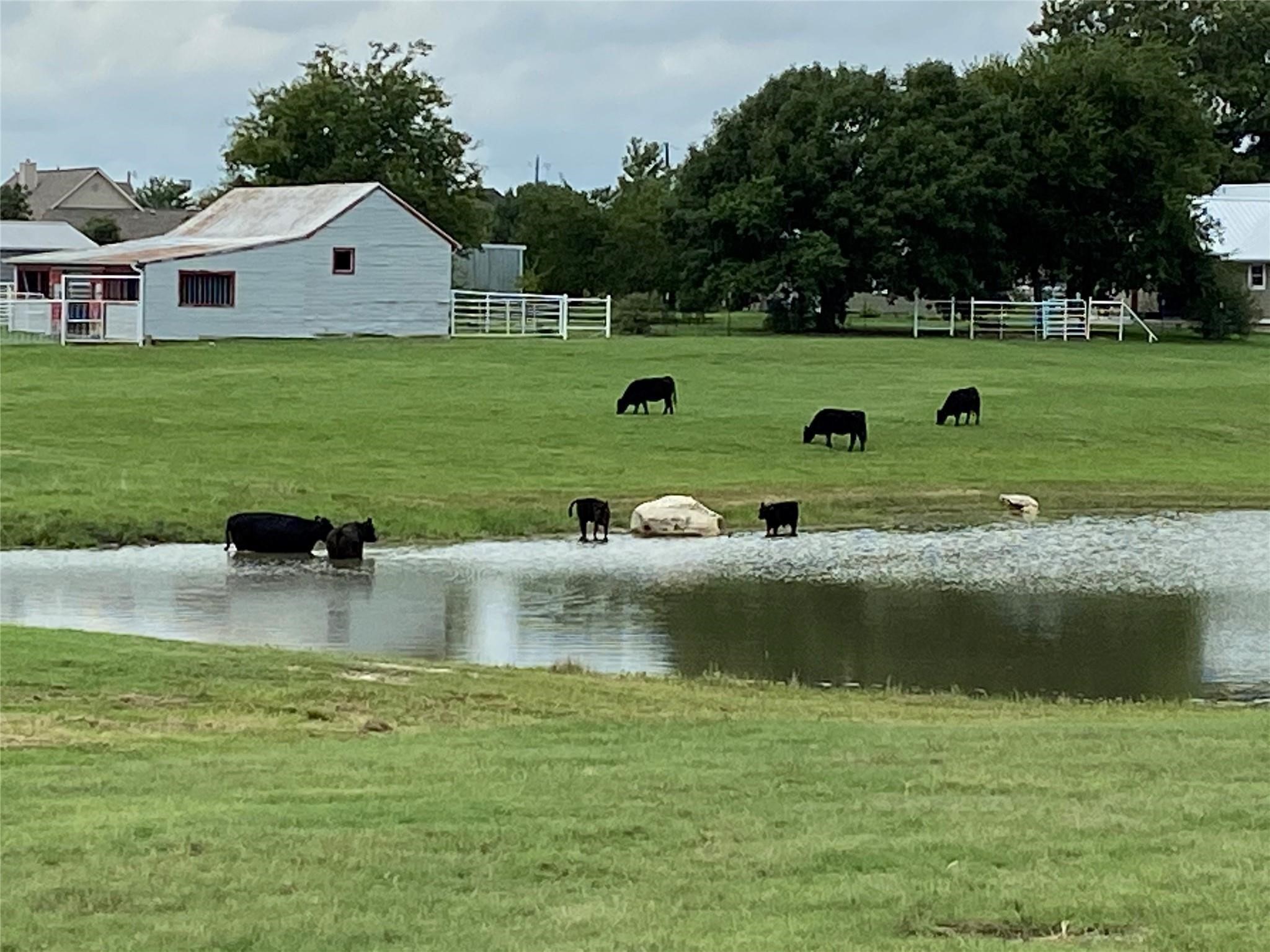 2196 Bledsoe Road Gunter TX 75058