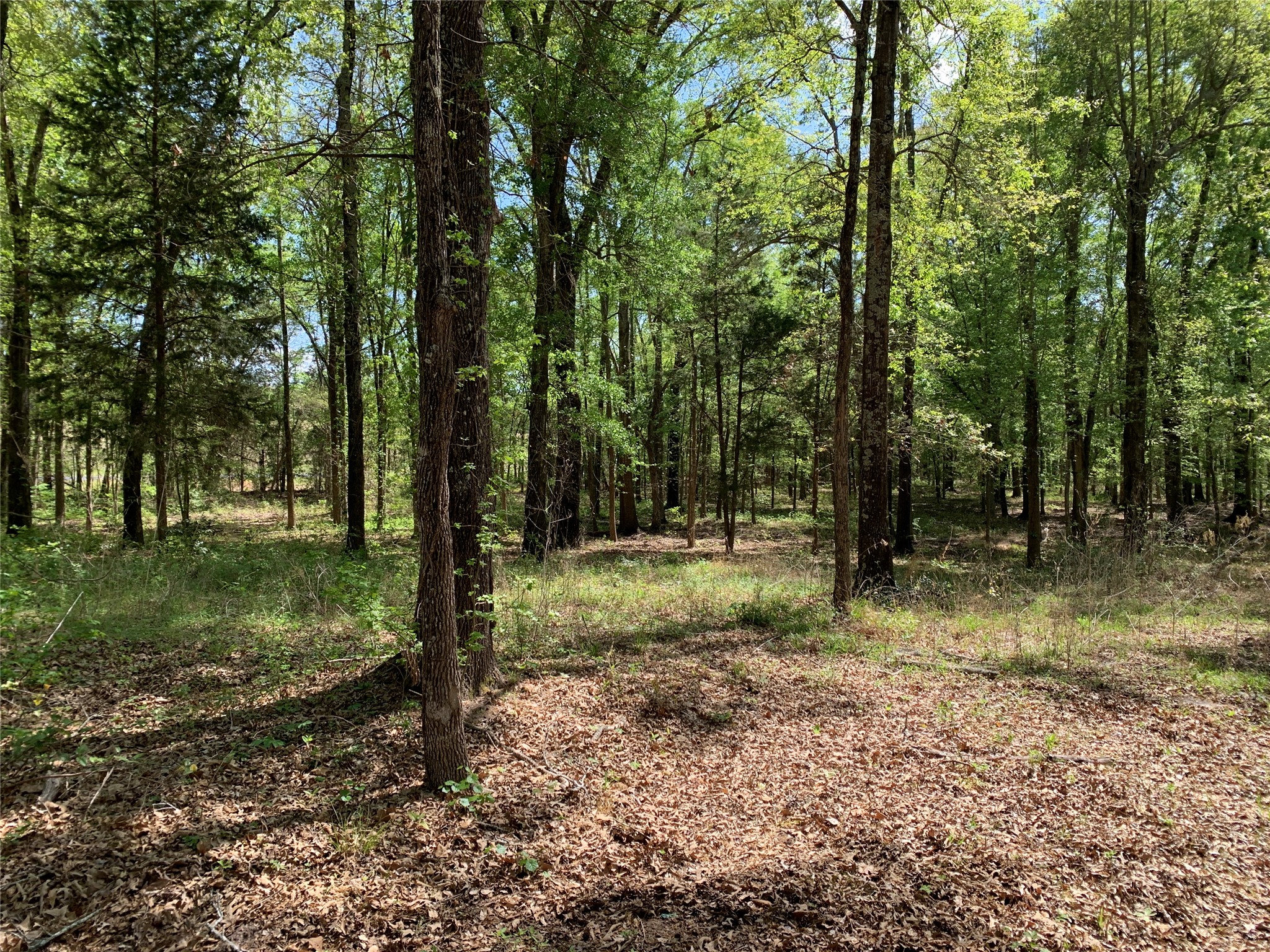 4280 County Road 3703 Athens TX 75752