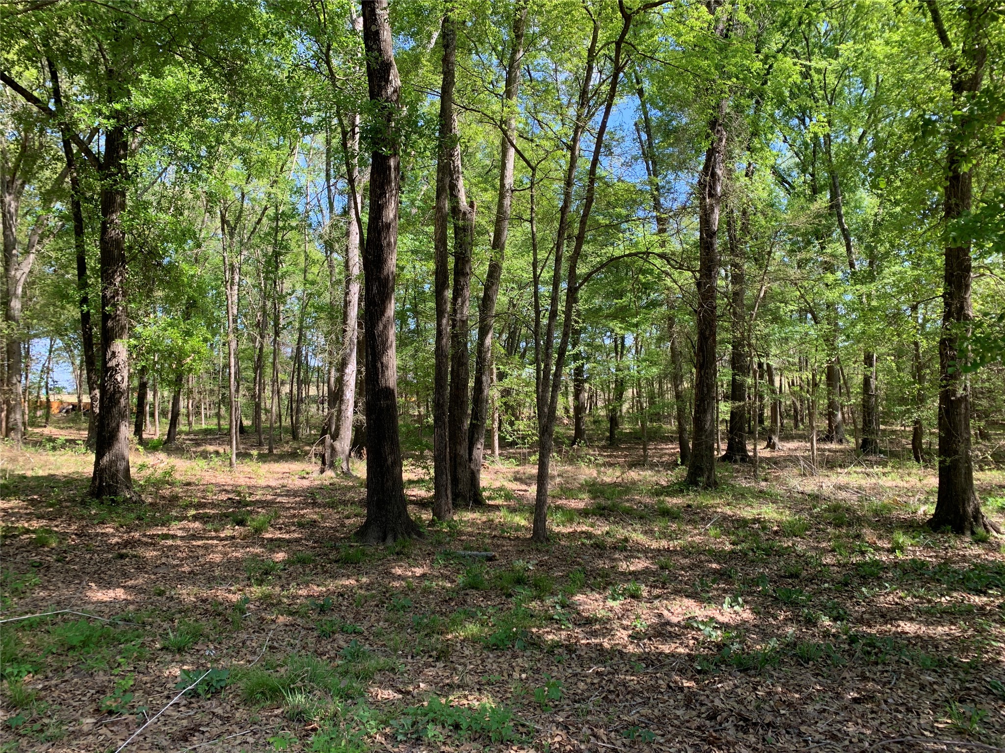4280 County Road 3703 Athens TX 75752