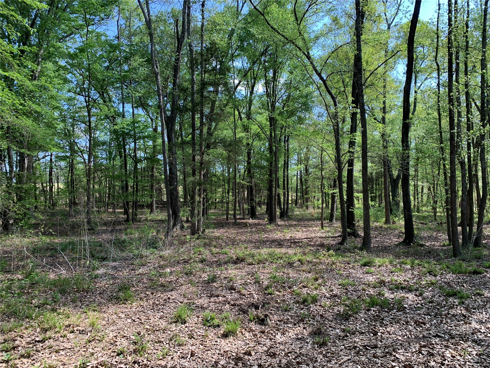 4280 County Road 3703 Athens TX 75752
