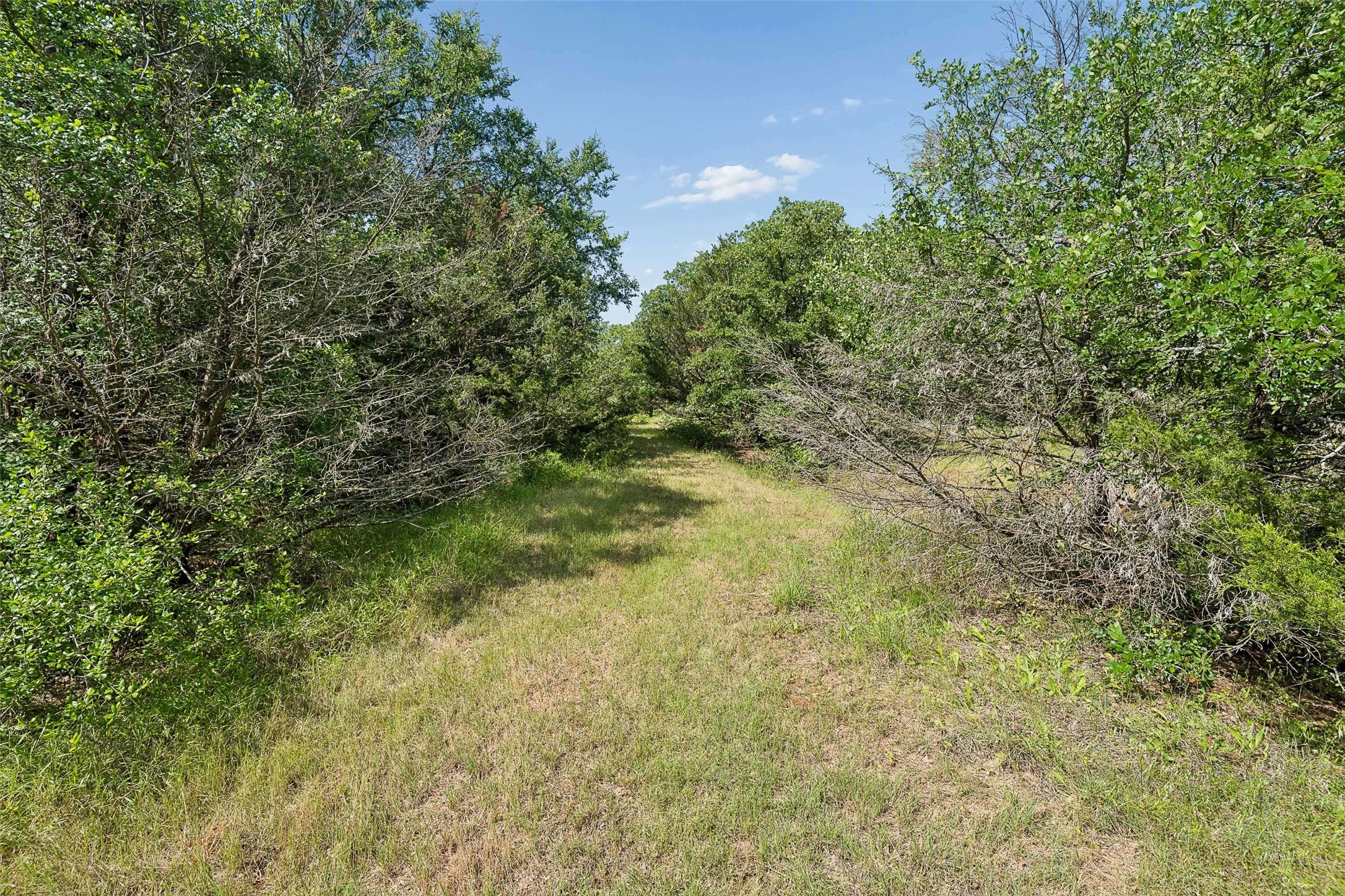 194 Private Road 4663 Boyd TX 76023