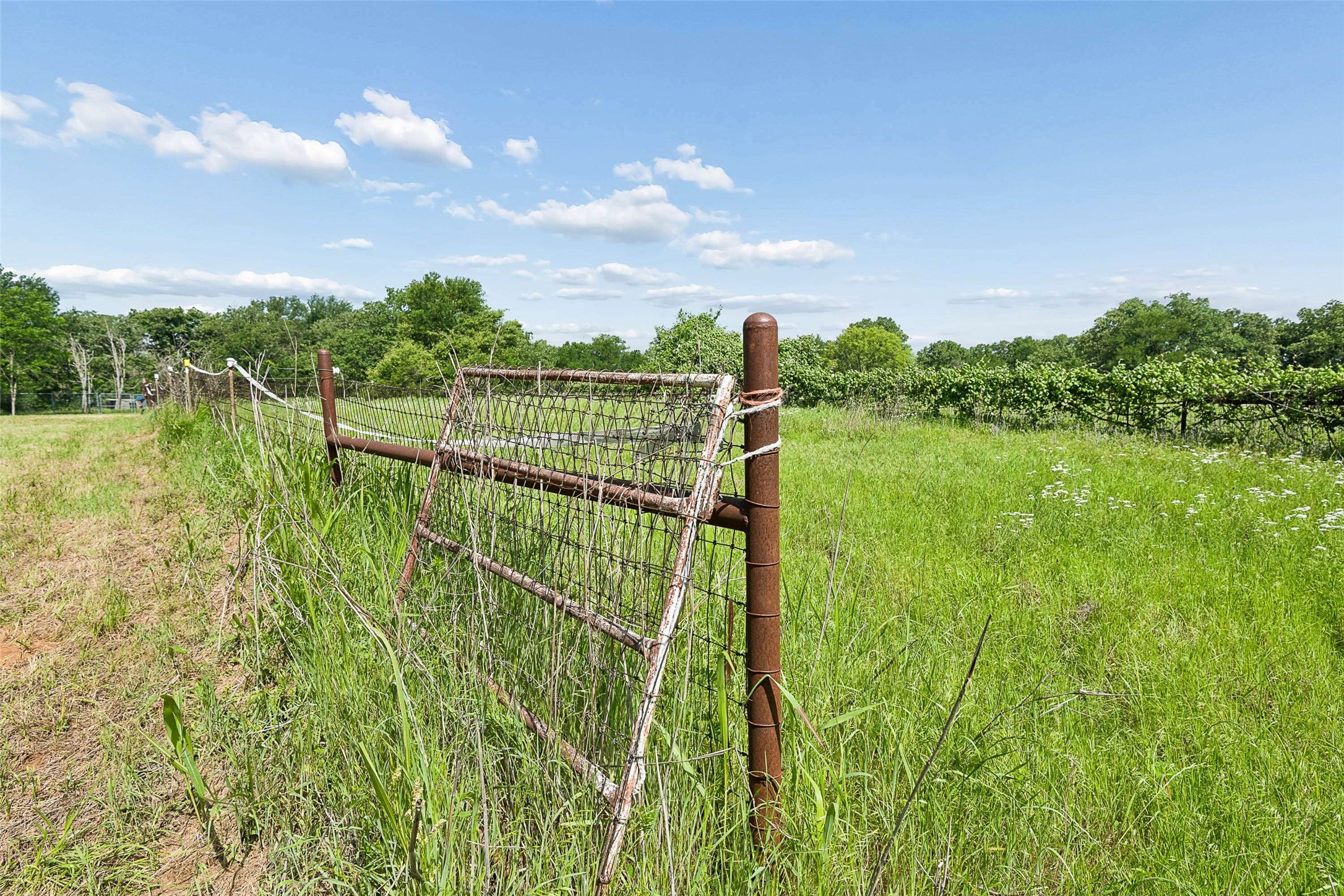 194 Private Road 4663 Boyd TX 76023