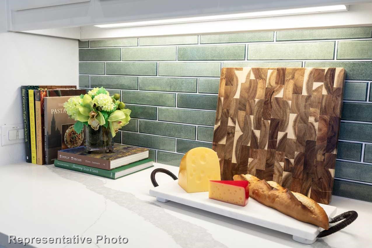 2438 Plumeria Lane Celina TX 75009