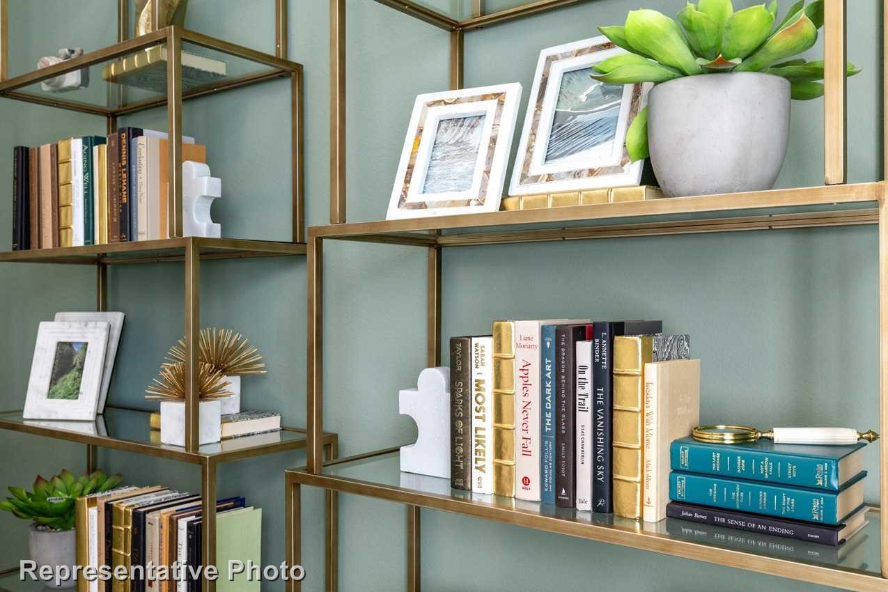 2438 Plumeria Lane Celina TX 75009