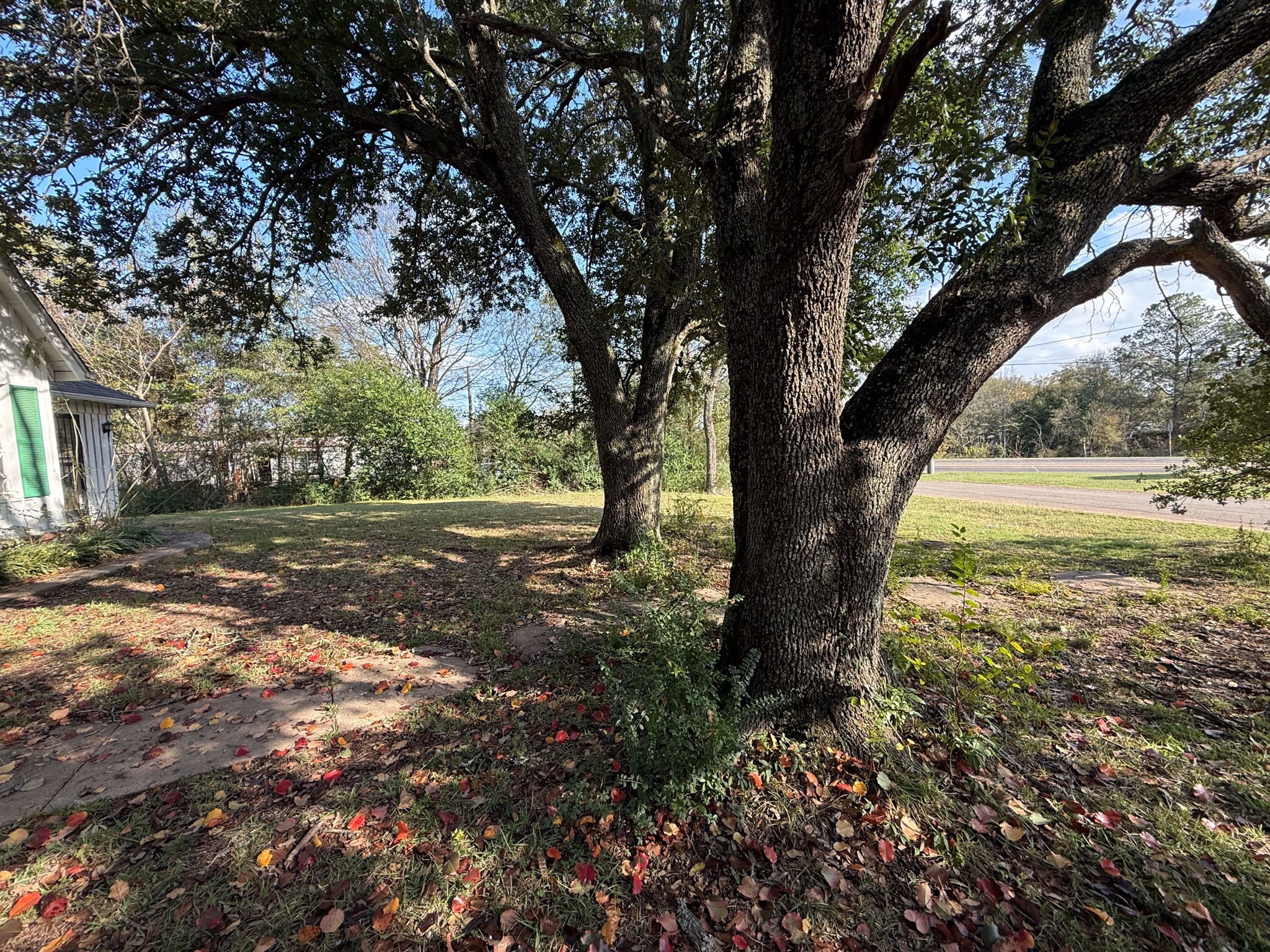 100 Smith Street Naples TX 75568