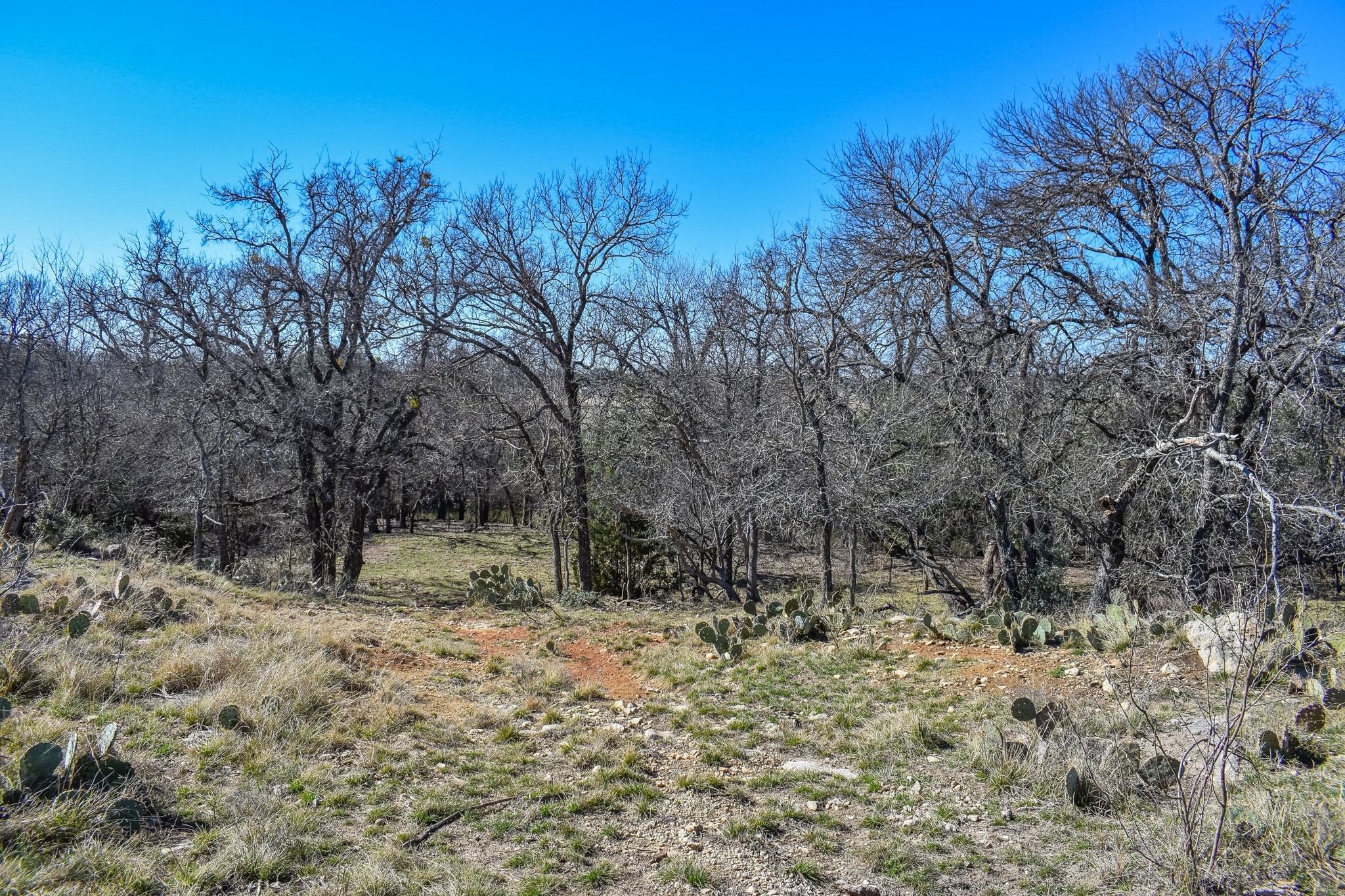 1124 W 6th Brady TX 76825