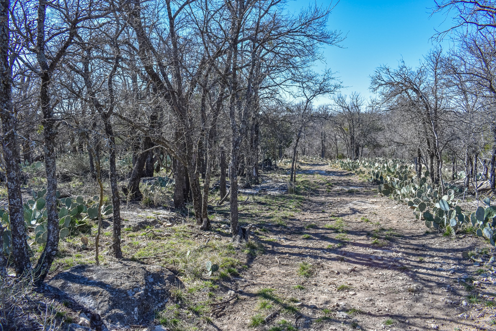 1124 W 6th Brady TX 76825