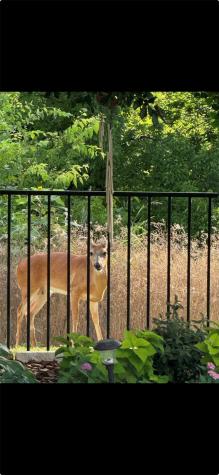 9445 Drovers View Trail Fort Worth TX 76131