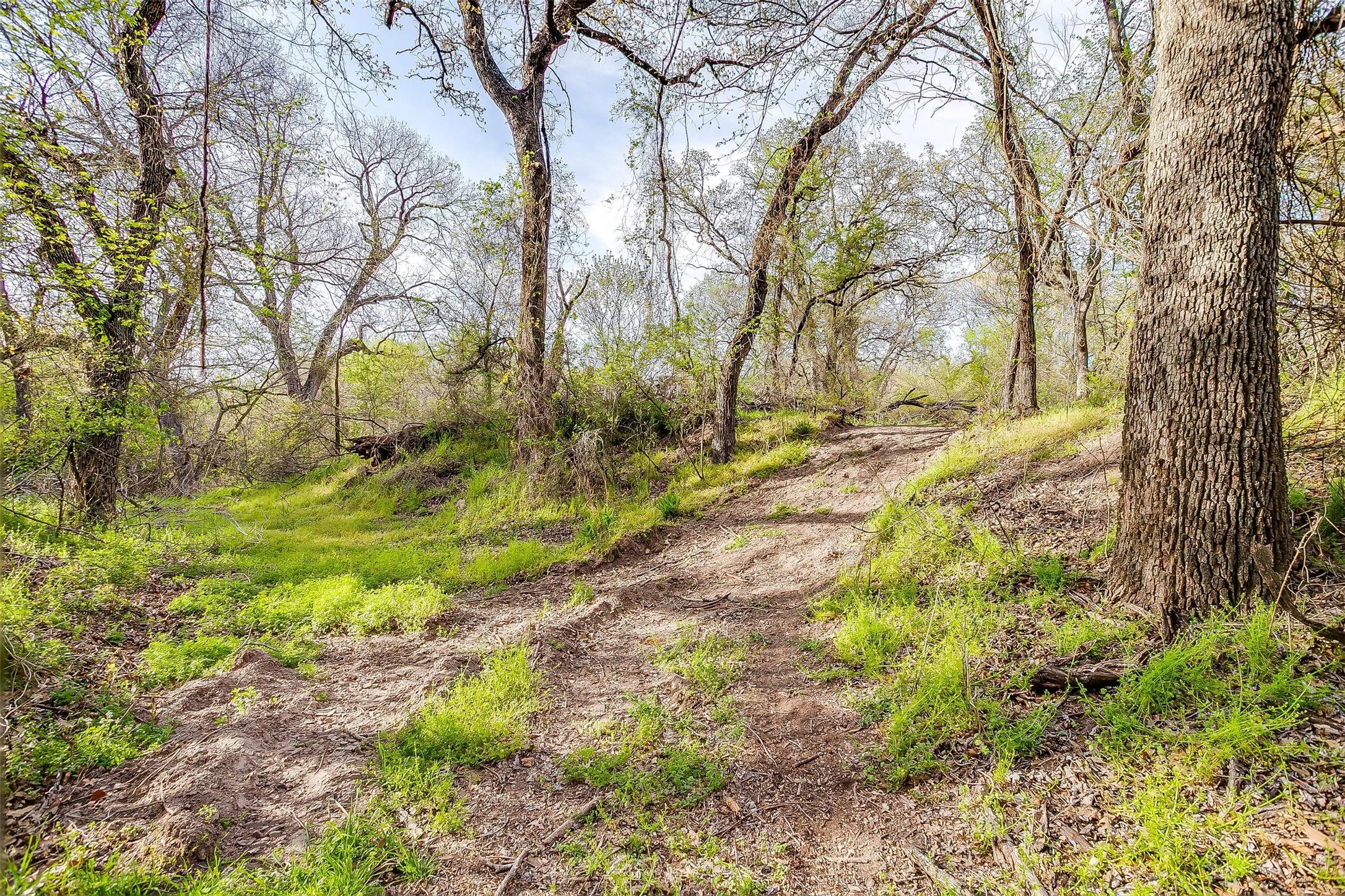 599 Private Road 3630 Springtown TX 76020