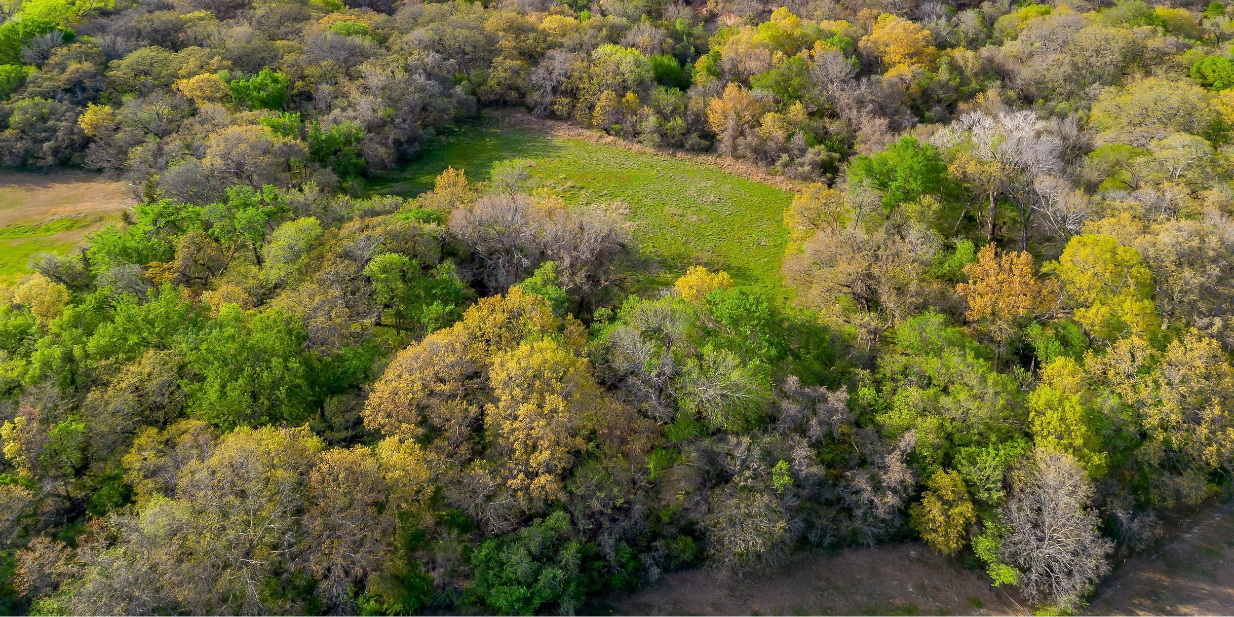 599 Private Road 3630 Springtown TX 76020